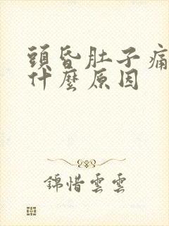 头昏肚子痛呕吐什么原因