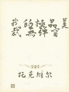 我的极品美女总裁 无弹窗