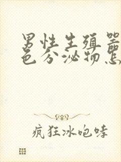 男性生殖器长白色分泌物怎么回事