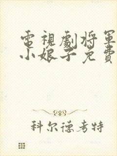 电视剧将军家的小娘子免费观看