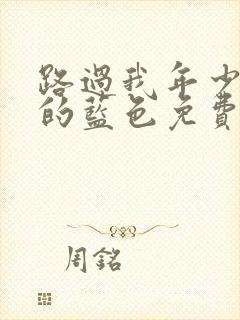 路过我年少时光的蓝色免费观看封面