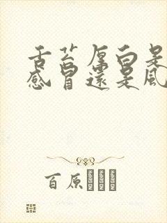 舌苔厚白是风热感冒还是风寒感冒