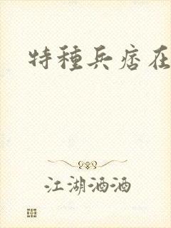 特种兵痞在都市