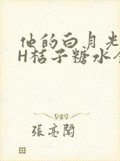 他的白月光HVH桔子糖水全文