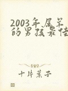 2003年属羊的男孩最佳婚配属相