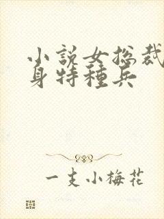 小说女总裁的贴身特种兵