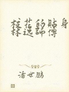 校花的贴身高手林逸师傅封面