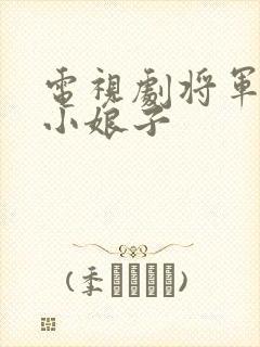 电视剧将军家的小娘子