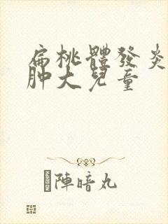 扁桃体发炎2度肿大儿童