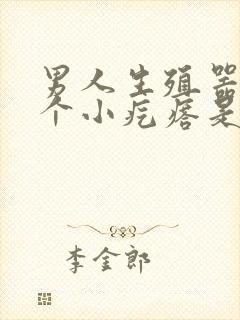 男人生殖器上有个小疙瘩是怎么回事封面