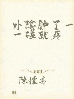 外阴肿了一个包一碰就疼