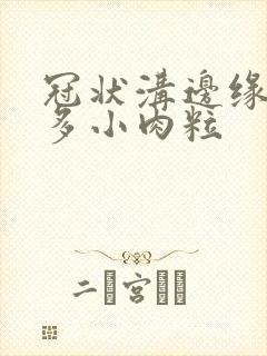 冠状沟边缘长很多小肉粒