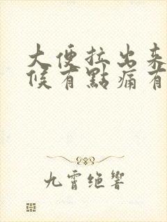 大便拉出来的时候有点痛有血