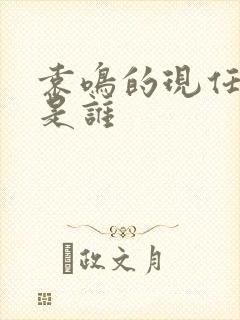 袁鸣的现任丈夫是谁