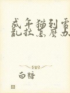 成年猫到处乱尿乱拉怎么办