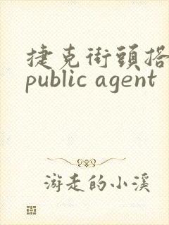 捷克街头搭讪:public agent