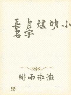 长月烬明小说的名字封面