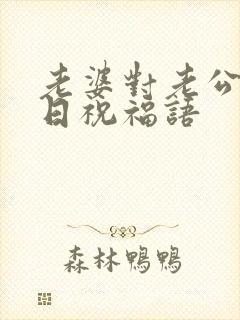 老婆对老公的生日祝福语