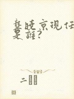 龚晓京现任丈夫是谁?