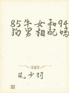 85牛女和94狗男相配吗婚姻封面