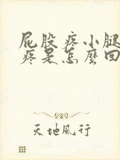 屁股疼小腿肚子疼是怎么回事