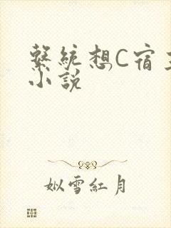 系统想C宿主的小说封面