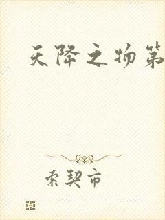 天降之物第一季封面