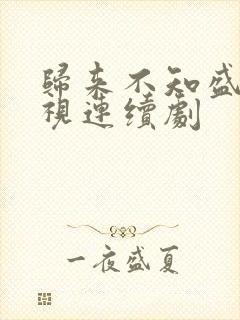 归来不知盛夏电视连续剧