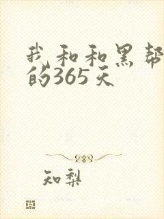 我和和黑帮老大的365天