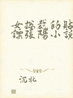 女总裁的贴身保镖张阳小说全文免费读封面