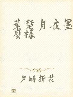 叶楚月夜墨寒怎么样