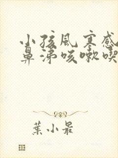 小孩风寒感冒流鼻涕咳嗽吃什么药