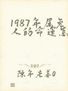 1987年属兔人的命运怎么样