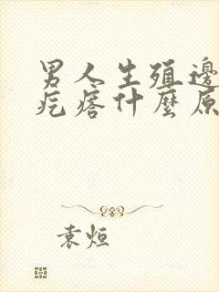 男人生殖边上长疙瘩什么原因引起的封面