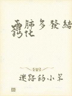 两肺多发结节伴钙化