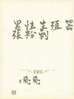 男性生殖器根部张粉刺