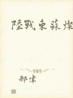 陆战东苏灿动漫