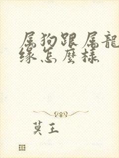 属狗跟属龙的姻缘怎么样