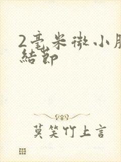 2毫米微小肺有结节