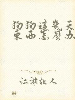 狗狗这几天不吃东西怎么办