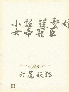 小说 从赘婿到女帝宠臣封面