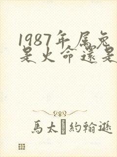 1987年属兔是火命还是木命