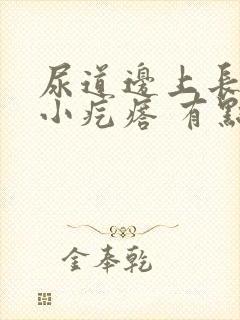 尿道边上长了个小疙瘩 有点痒有点痛封面