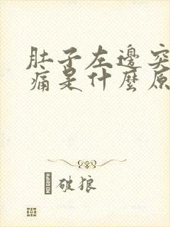 肚子左边突然绞痛是什么原因封面