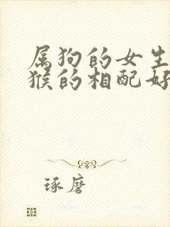 属狗的女生和属猴的相配好不好