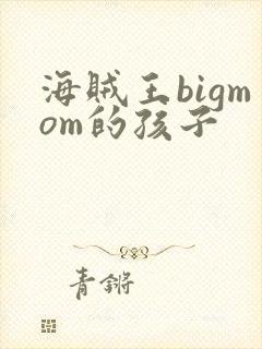 海贼王bigmom的孩子