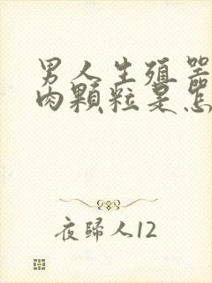 男人生殖器长了肉颗粒是怎么回事