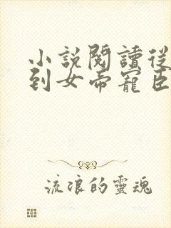 小说阅读从赘婿到女帝宠臣