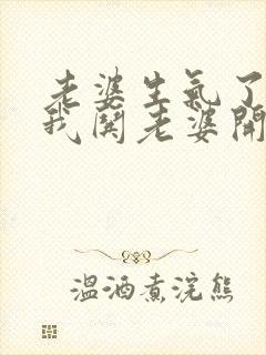 老婆生气了不理我哄老婆开心的句子