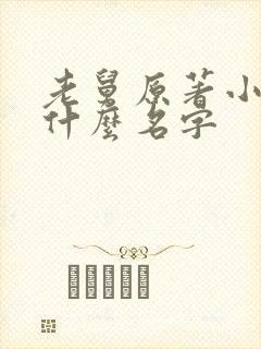 老舅原著小说叫什么名字